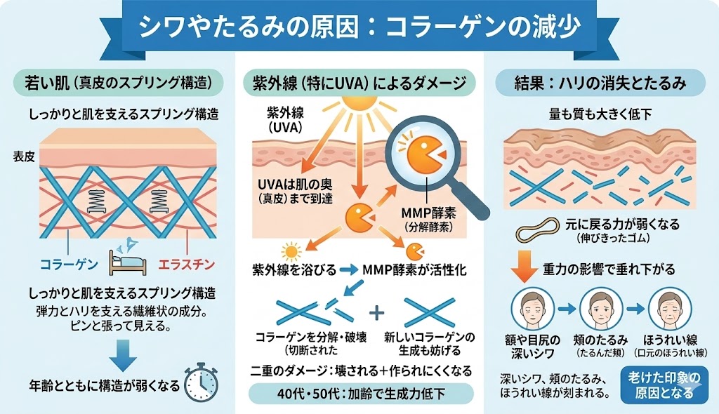 まとめ|40代男性の肌は「守るケア」で変えられる