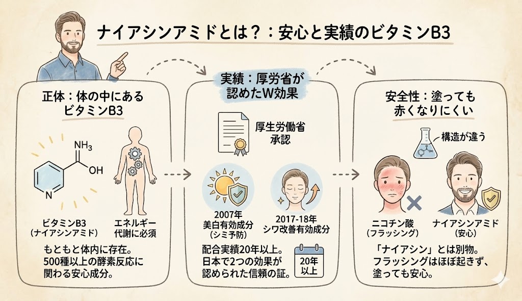 ナイアシンアミドとは？