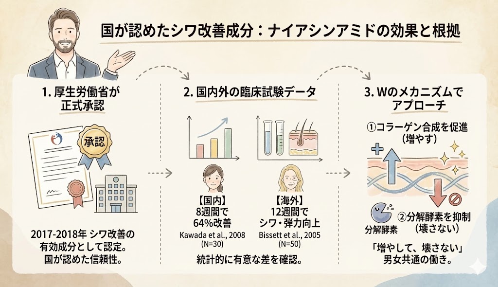 ナイアシンアミドの効果と根拠